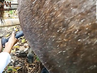 Zoo Porn Man Fucks Animal
