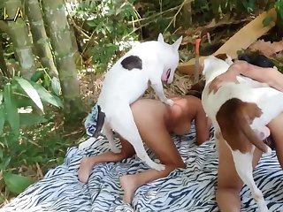 Real Life Animal Sex