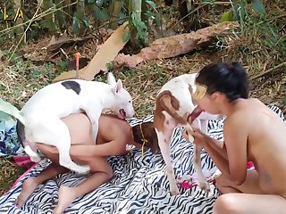 Real Life Animal Sex
