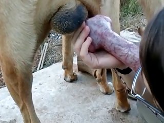 Pinay Zoo Porn