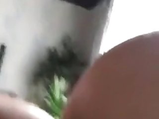 Zoophilie Sex Film