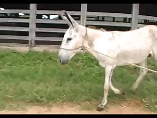 Light Madonna Ass 3