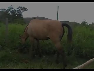 Light Madonna Ass 3