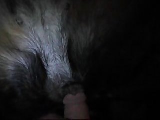 Adult Topic Dog Porn