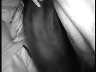 Dog Porn Double