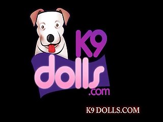 Men Creampie Dog Porn