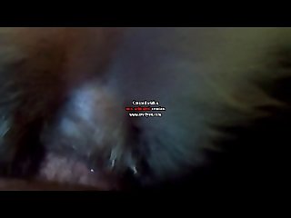 Amateur Dog Porn 2025