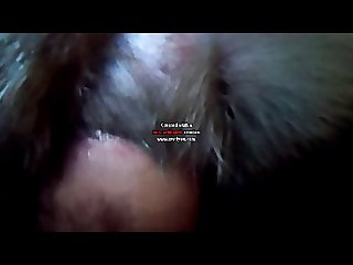 Amateur Dog Porn 2025