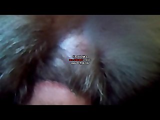 Amateur Dog Porn 2025