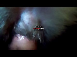 Amateur Dog Porn 2025