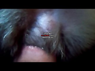 Amateur Dog Porn 2025