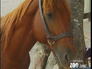 Siana Dog Porn