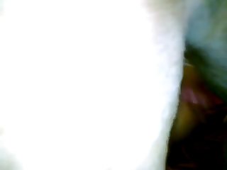 Nicole Kidman Animal Sex Movie