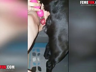 Free Animal Sex Tv