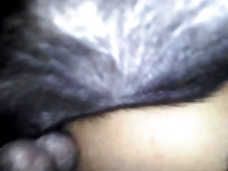 Animal Sex A Girl