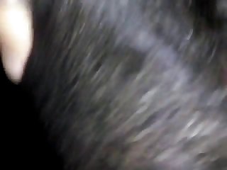 Animal Sex A Girl