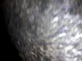 Animal Sex A Girl