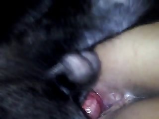 Animal Sex A Girl