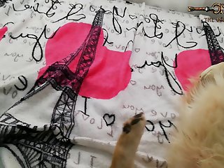 Hump Dog Porn