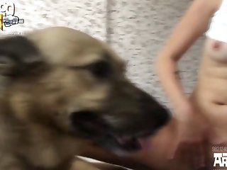 Wonder Woman Dog Porn