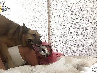 Wonder Woman Dog Porn