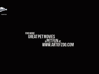 Marin Kitagawa Dog Porn