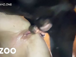Whitney Wisconsin Dog Porn