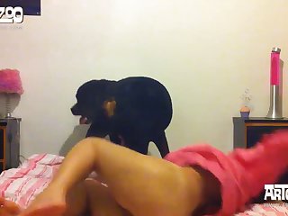 Little Girl And Dog Xxx
