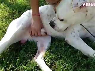 Homens Fazendo Sexo Com Animais