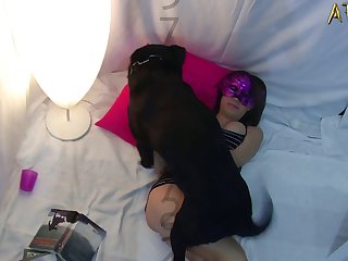 Cachorro Comendo Mulher