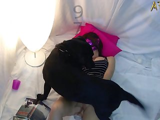 Cachorro Comendo Mulher