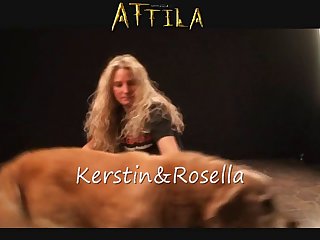 Zoofilia Dog