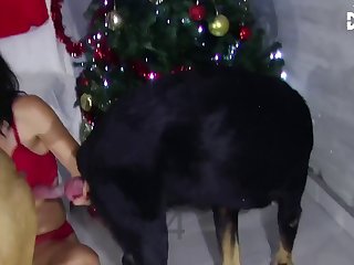 I Love Barreys Sugar By Lise 003 003