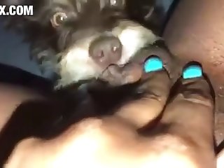 [480x270] Puppies Love Pussy z00.rocks = zoo porn without any ads Converted New