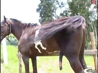 Patricia Horse Fuck And Cum 001