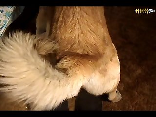 Bufa Zoo