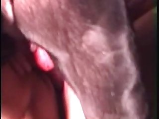 Free Onlyfans Downloader