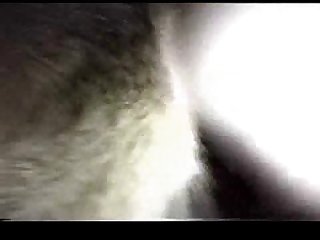 Pussy Porn
