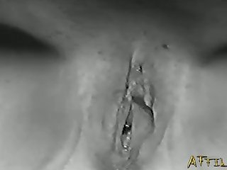 Female Pitbull Porn