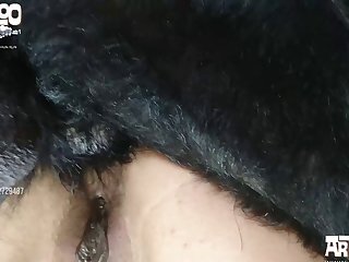 Up Against My Quivering Thighs