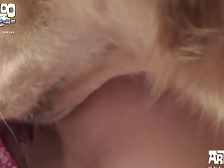 Extreme Deep Anal