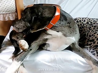 Ebony Interracial Porn