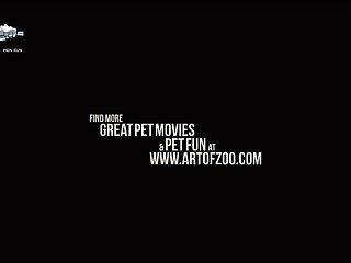 Tamil Porn Site