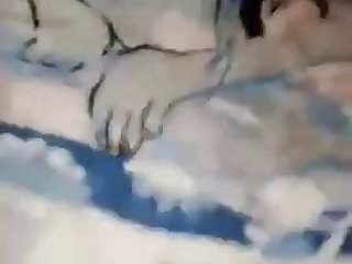 Animal Crossing Porn Bob