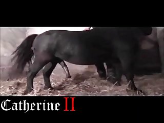 2024 Zoophilia Porn
