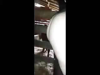 Newest Zoophilia Porn Videos