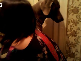 Zoophilia Porn Torrents