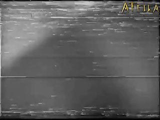 Gay Zoophilia Porn Stories