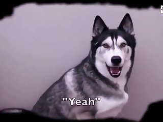 Zoophilia Porn Cum