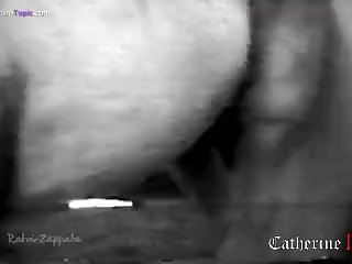Webcam Zoophilia Porn